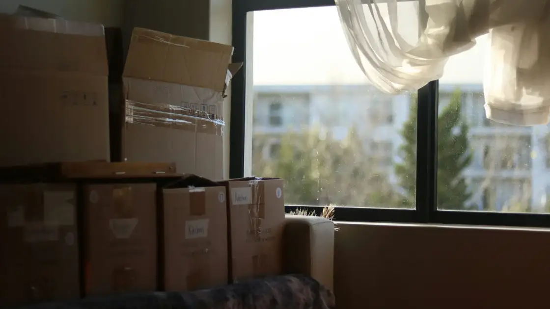 Cardboard boxes labelled by room, stacked beside a window on moving day